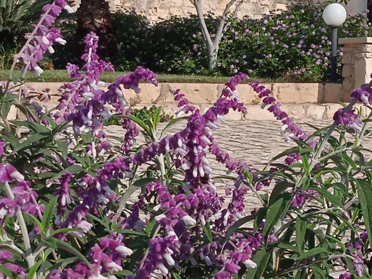Vila I 5 Sensi Marina di Modica Exteriér fotografie