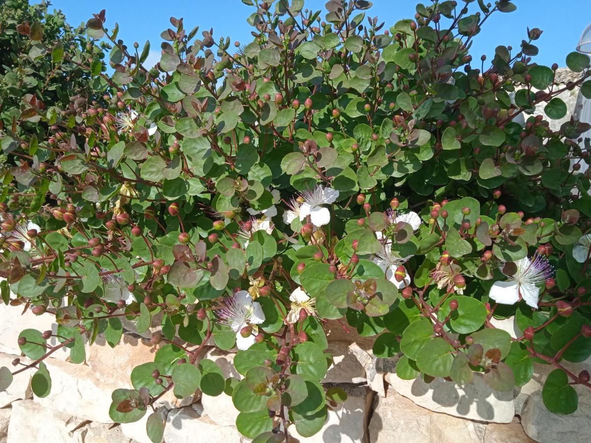Vila I 5 Sensi Marina di Modica Exteriér fotografie